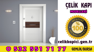 ÇELİK KAPI MODELLERİ